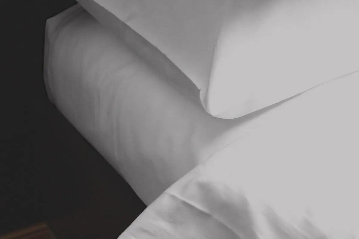 Pure Egyptian Cotton Duvet Cover Bed Set in Light Grey Euphoric Bedding