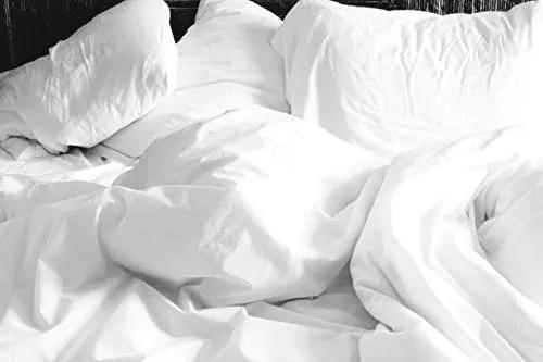 Pure Egyptian Cotton Duvet Cover Bed Set in Plain White Euphoric Bedding