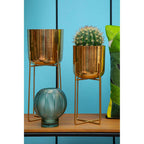 Complements Fern Green Small Glass Vase