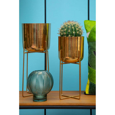 Complements Fern Green Small Glass Vase