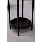 Asher Two Tier Black Plant Stand