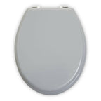 Brooks Matte Grey Toilet Seat