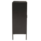 Acier Two Door Black Metal Cabinet