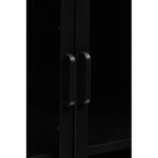 Acier Two Door Black Metal Cabinet