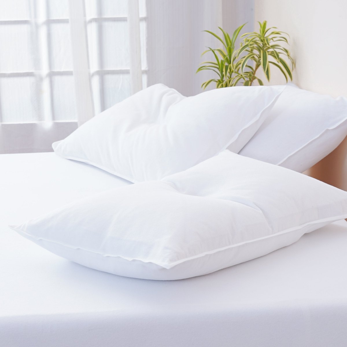 Bella Flannelette (Brushed Cotton) - White Pillowcases Pair - Luxe Home Essentials