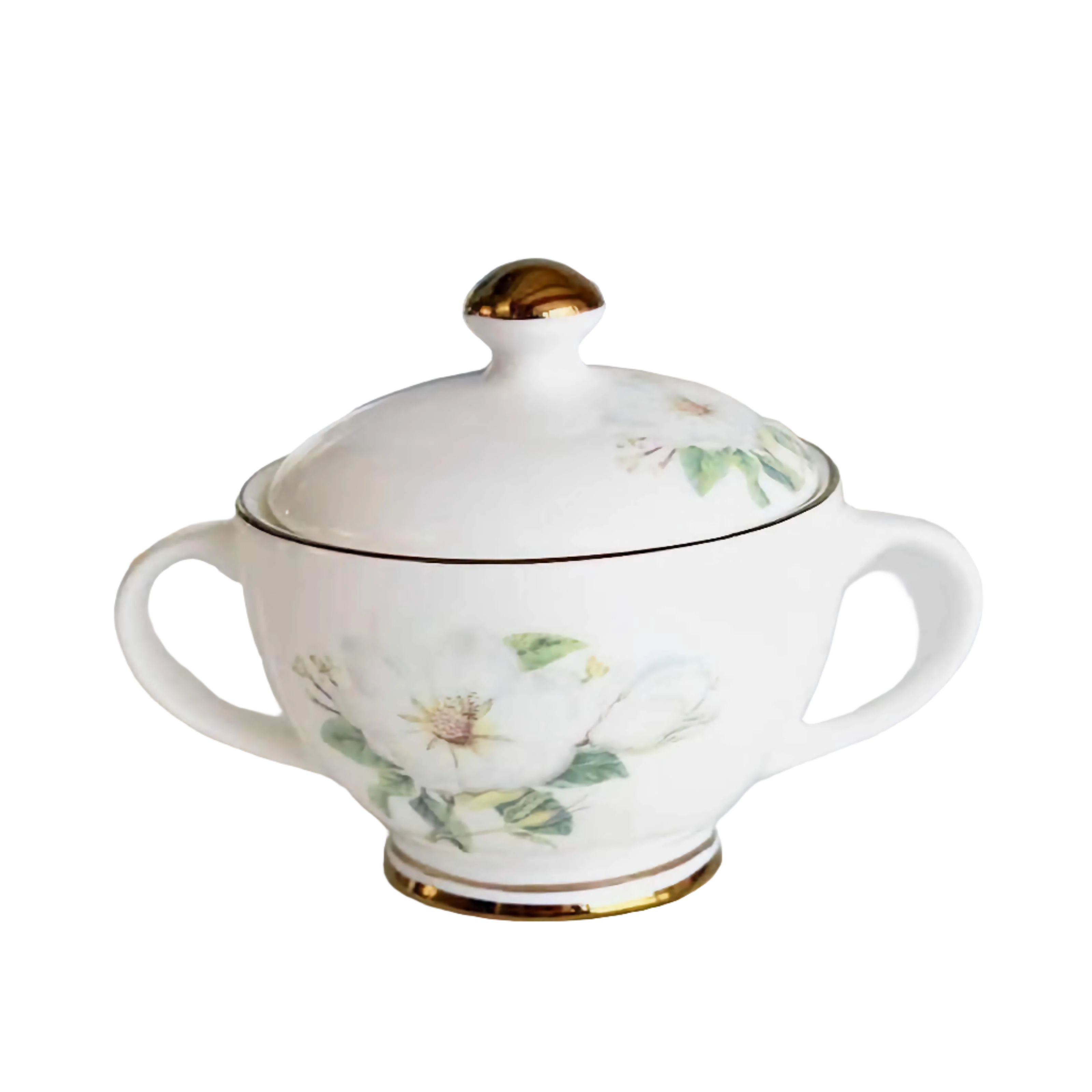 Isabella’s Vintage Floral Bone China Tea Set