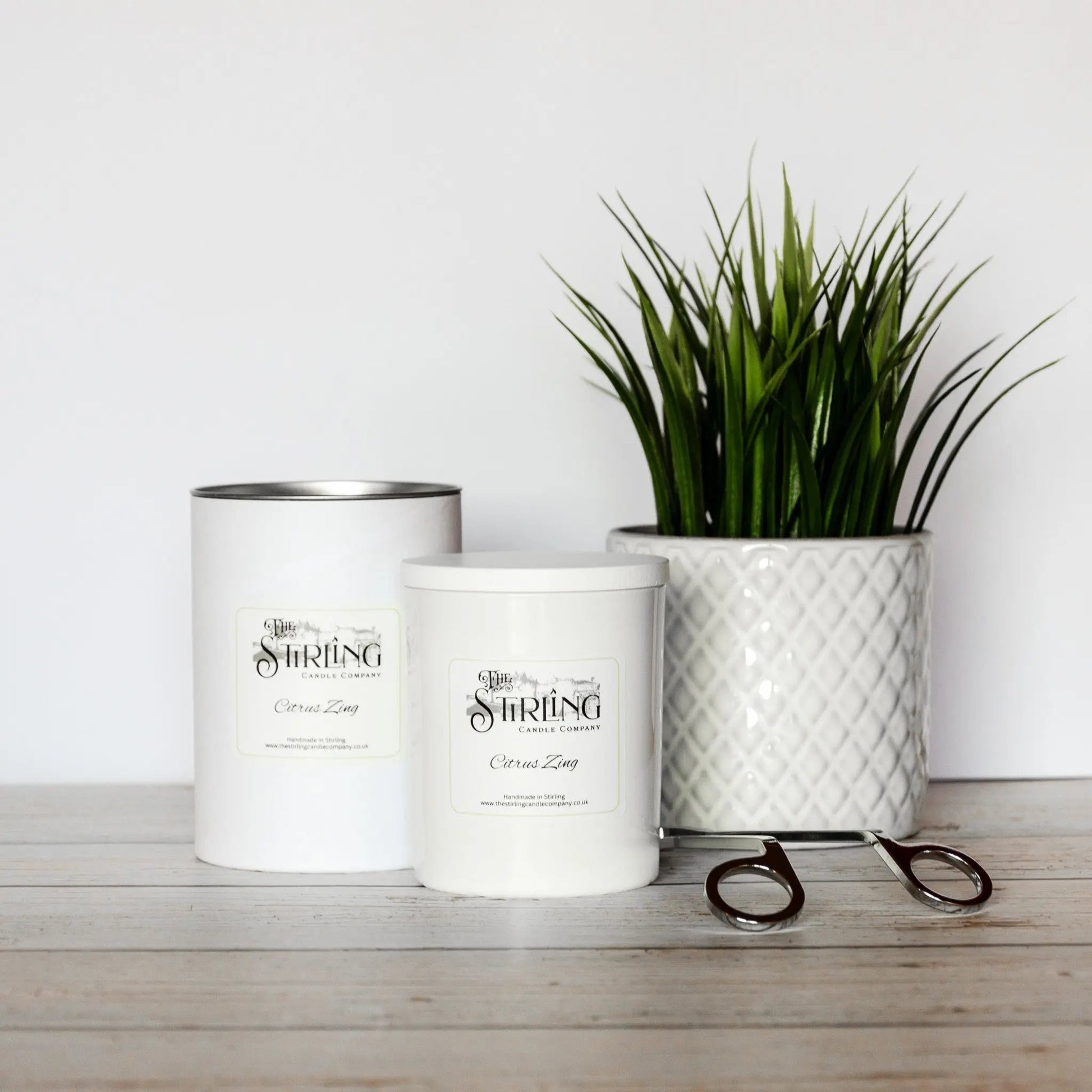 Large Citrus Zing candle & packaging tin, rapeseed coconut wax, Stirling made. White pot plant, wick trimmers.